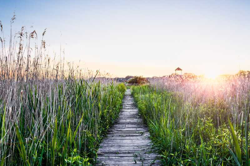 Polderlandschaft