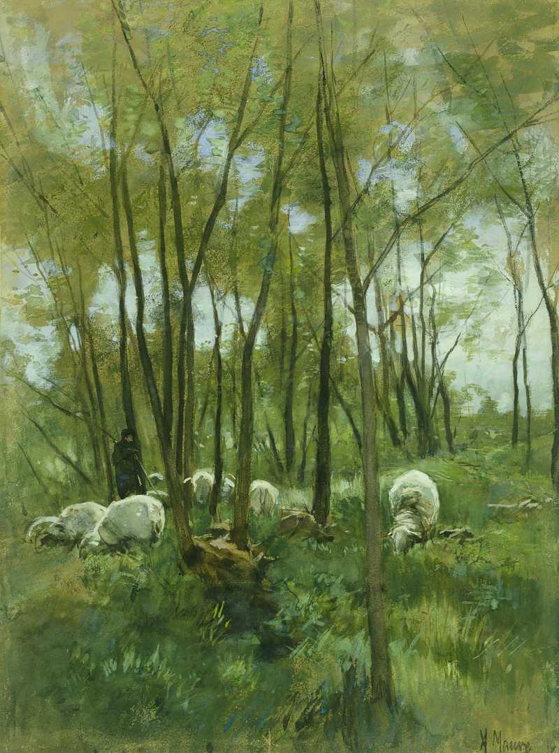 Schafherde in einem Wald