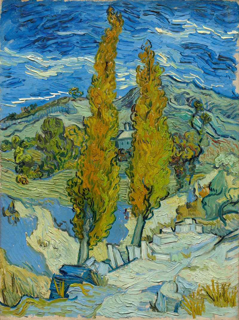 Two Poplars in the Alpilles near Saint-Rémy