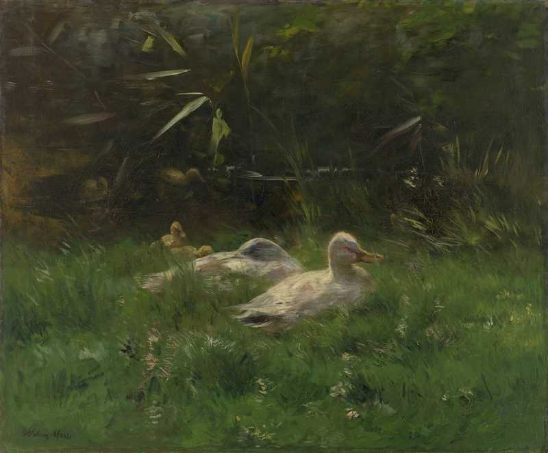 Enten