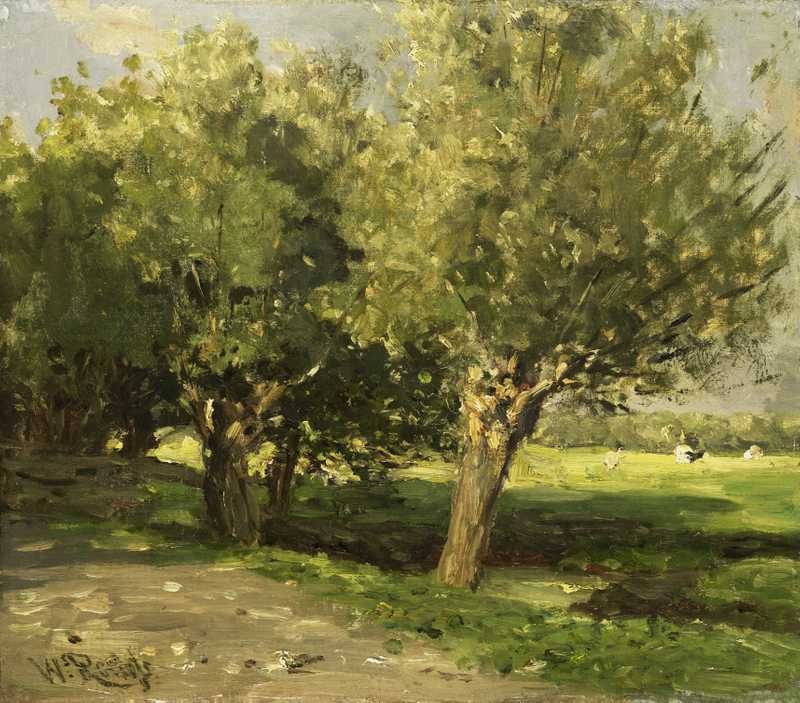 Weidenbäume