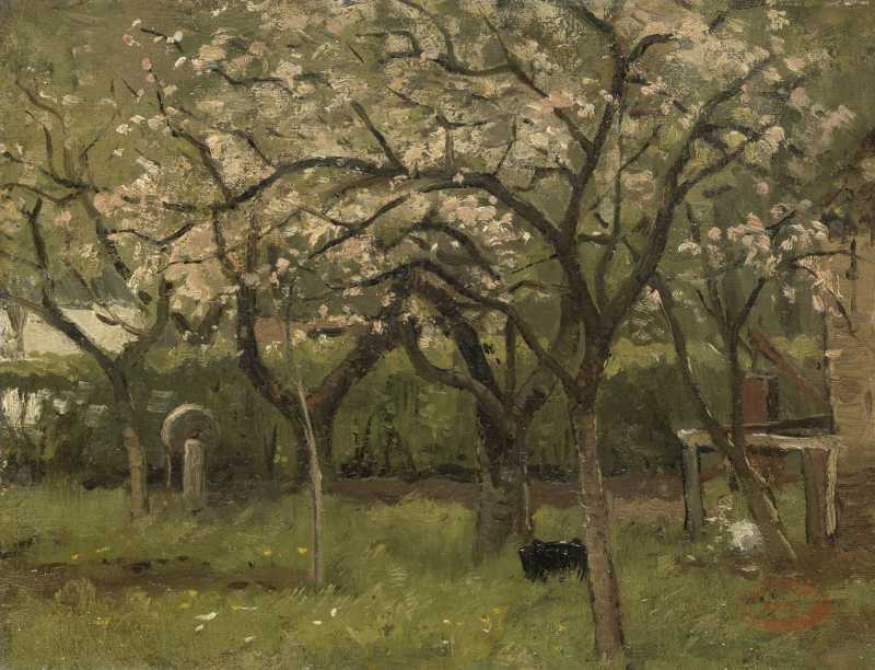Blühender Baum