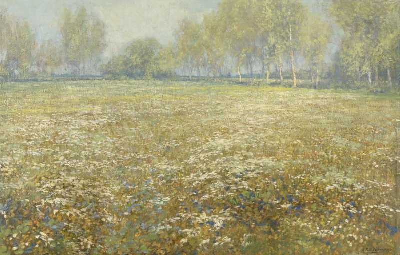 Blühende Wiese