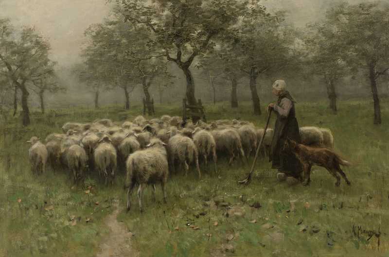 Hirtin mit Schafherde