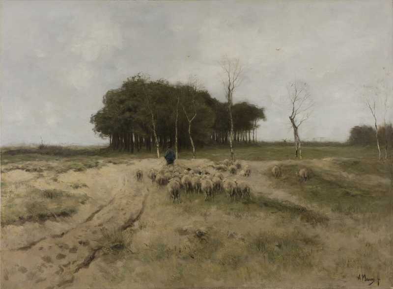 Heather in der Nähe von Laren